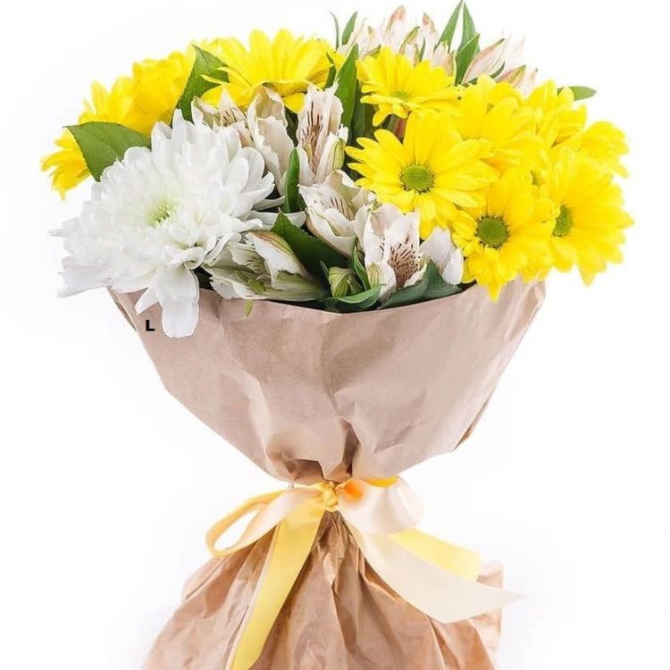 Солнечный луч от 5 300 руб.